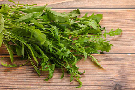 Fresh tasty natural organic rucola for snackの写真素材