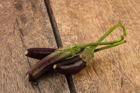 Baby natural organic purple eggplant heapの写真素材