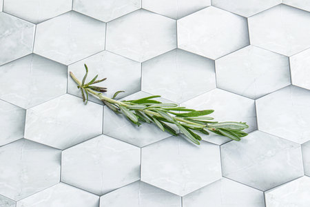 Rosemary branch - organic spicy herb for cooking