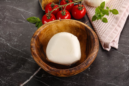 Italian delicous cheese mozzarella buffalo ballの写真素材