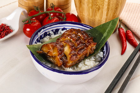 Grilled eel with steamed rice and unagi sauceの写真素材