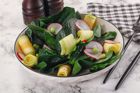 Green salad with zucchini radish and spinachの写真素材