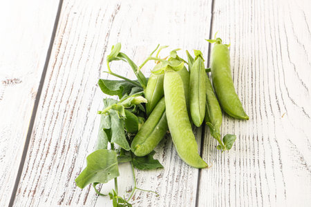 Ripe green pea - natural organic pantの写真素材