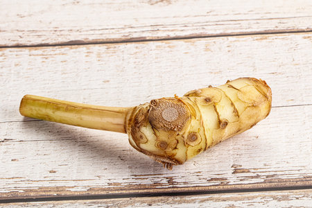 Raw galangal root seasonong aroma for cookingの写真素材