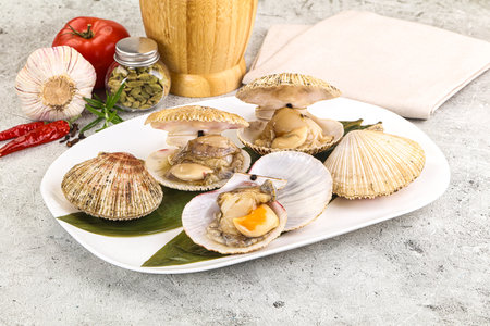 Raw fresh scallops in the shell for cooking