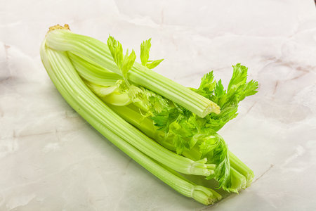 Vegan cuisine - raw green celery stemの写真素材