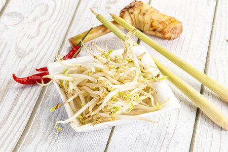 Asian cuisine Mash bean sprout for cookingの写真素材