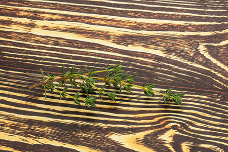 Aroma seasoning fresh thyme stem with leavesの写真素材