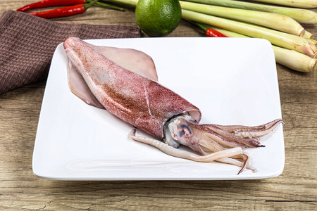 Raw fresh squid seafood for cooking