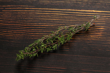 Thyme - aromatic seasoning herbal organic plantの写真素材