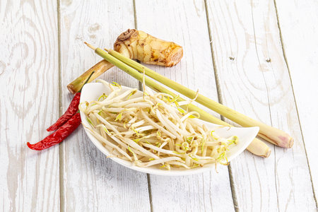Asian cuisine Mash bean sprout for cookingの写真素材