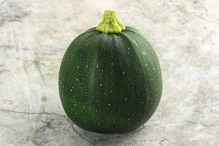 Raw green round zucchini vegetable for cookingの写真素材