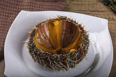 Delicous luxury raw sea urchin delicatessen