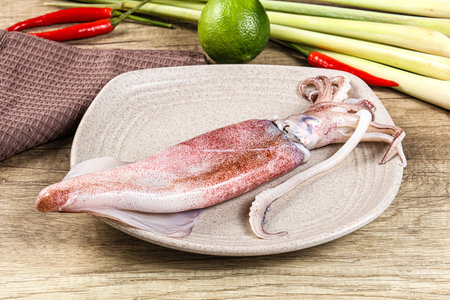 Raw fresh squid seafood for cooking