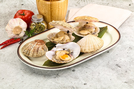 Raw fresh scallops in the shell for cookingの写真素材