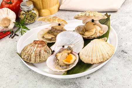 Raw fresh scallops in the shell for cookingの写真素材