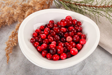 Ripe sweet sour wild cranberry heap