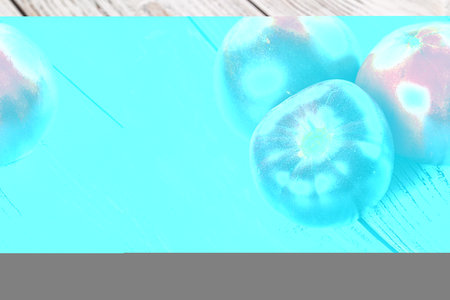 Black ripe juicy organic tomato Indigoの写真素材