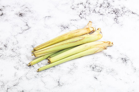 Green organic lemongrass stem heap for cookingの写真素材