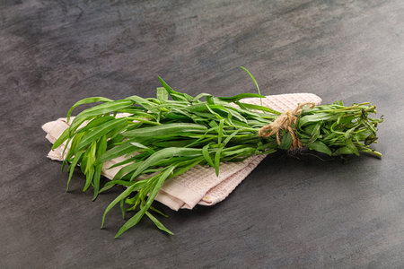 Green estragon branches for cooking or aromatherapyの写真素材