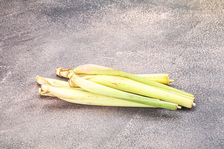 Green organic lemongrass stem heap for cookingの写真素材