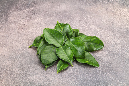 Thai cuisine - Kaffir lime leaves heapの写真素材