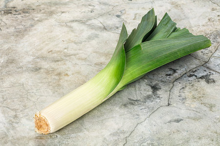 Fresh ripe green onion - Leek for cookingの写真素材