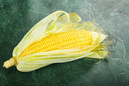 Raw sweet ripe yellow Corn with leavesの写真素材