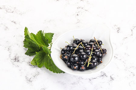 Juicy and sweet black currant berries in the bowlの写真素材