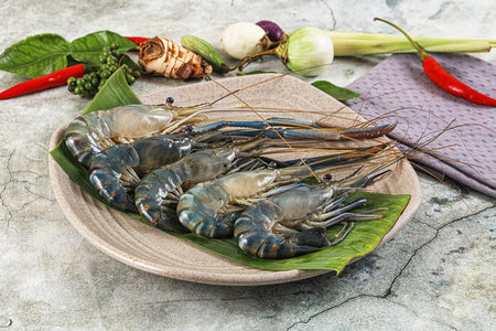 Raw blue river prawn in the plate for cookingの写真素材
