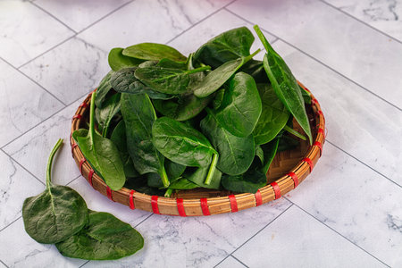 Raw fresh green spinach leaves in the bowlの写真素材