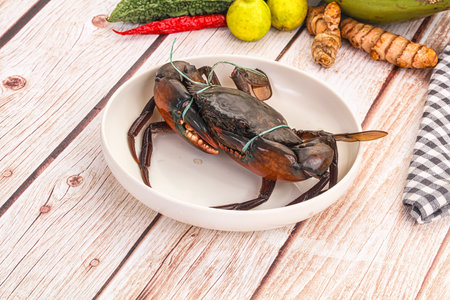 Gourmet Wild raw crab for cookingの写真素材