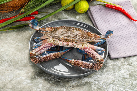 Raw wild blue crab for cookingの写真素材