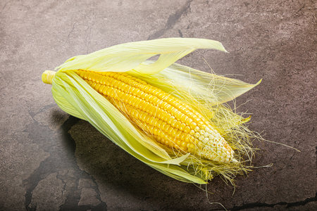 Raw sweet ripe yellow Corn with leavesの写真素材