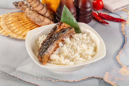 Smoked eel in unagi sauce and steamed riceの写真素材