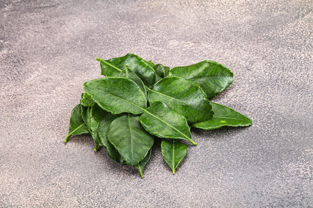Thai cuisine - Kaffir lime leaves heapの写真素材