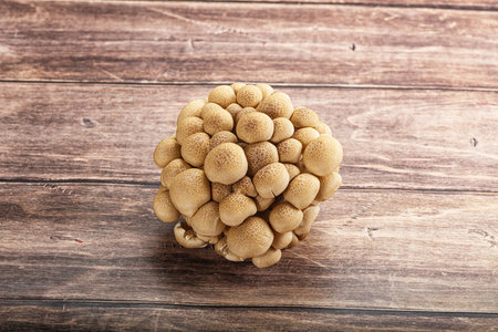 Raw asiam delicacy mushroom Shimeji heap