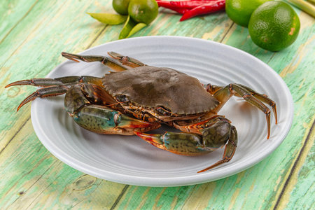 Gourmet Raw wild crab for cookingの写真素材