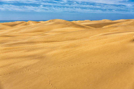 Maspalomas Duna - Desert in Canary island Gran Canariaの写真素材