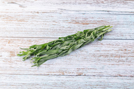 Fresh green estragon aroma stem heapの写真素材