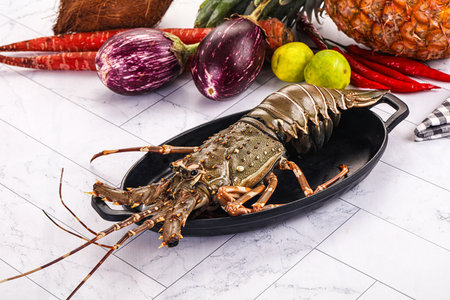 Raw wild fresh spiny lobster for cookingの写真素材