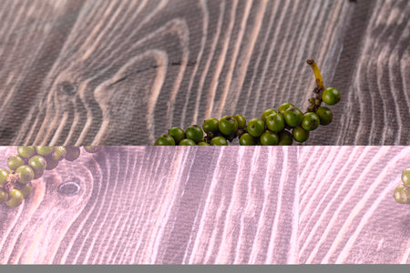 Ripe green pepper corn branch for cookingの写真素材