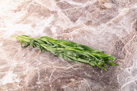 Fresh green estragon aroma stem heapの写真素材