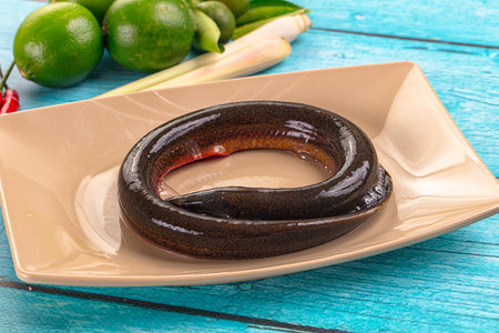 Fresh raw gourmet eel fish for cooking