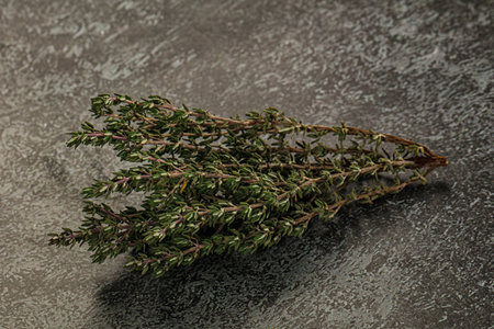 Fresh green Thyme aromatic branch isolatedの写真素材
