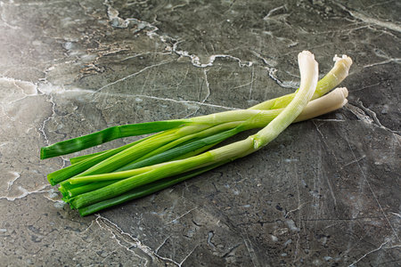 Young fresh juicy spring green onionの写真素材