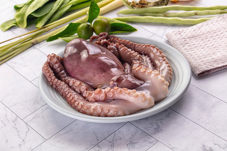 Gourmet luxury raw wild octopus for cookingの写真素材