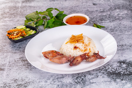 Tasty baked baby swuid with riceの写真素材