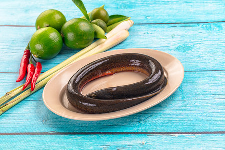 Fresh raw gourmet eel fish for cooking