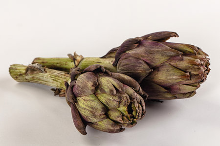 Organic food - Ripe raw green artichoke flowerの写真素材